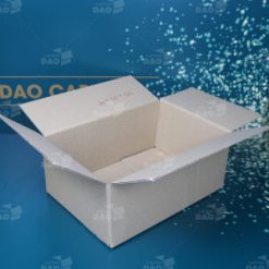 Thùng Carton